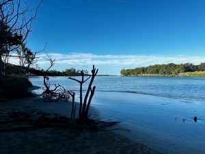 Angie Abingdon exploring Northern Rivers  Estuart
